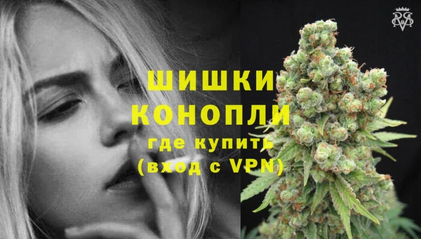 стаф Мегион