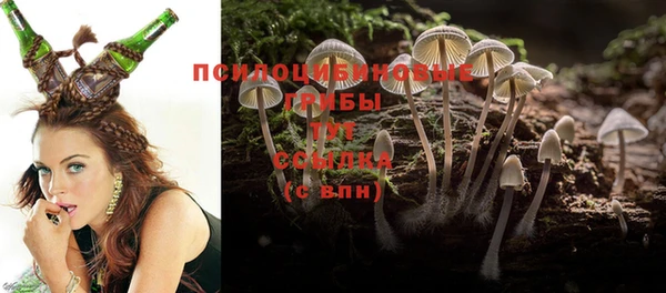 стаф Мегион